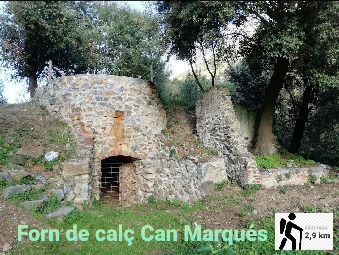 Apartamento En La Costa Del Maresme Pineda de Mar Exterior foto